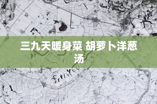 三九天暖身菜 胡萝卜洋葱汤