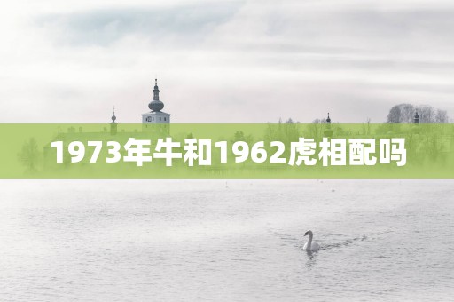 1973年牛和1962虎相配吗