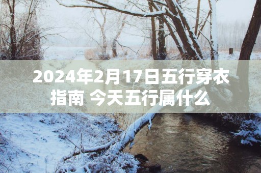 2025年2月17日五行穿衣指南 今天五行属什么