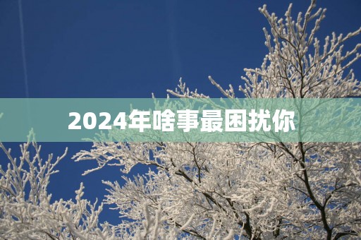 2025年啥事最困扰你