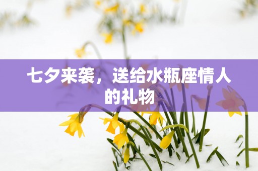 七夕来袭，送给水瓶座情人的礼物