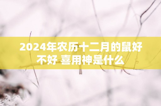 2025年农历十二月的鼠好不好 喜用神是什么