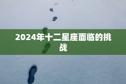 2025年十二星座面临的挑战