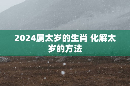 2025属太岁的生肖 化解太岁的方法