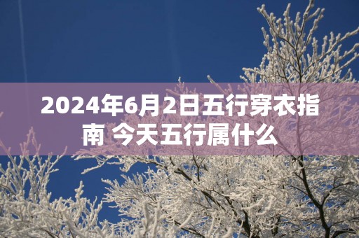 2025年6月2日五行穿衣指南 今天五行属什么