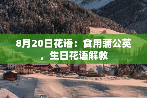 8月20日花语：食用蒲公英，生日花语解救