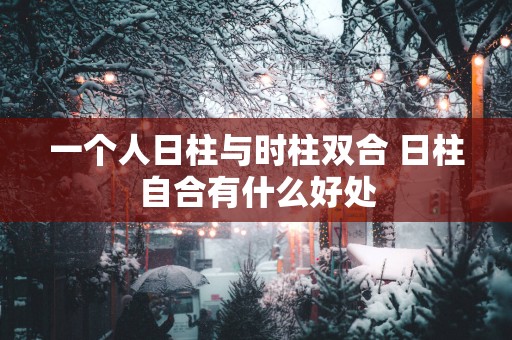 一个人日柱与时柱双合 日柱自合有什么好处