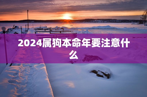 2025属狗本命年要注意什么