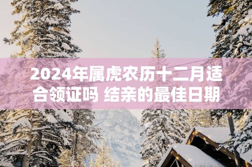 2025年属虎农历十二月适合领证吗 结亲的最佳日期