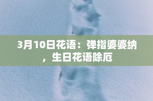 3月10日花语：弹指婆婆纳，生日花语除厄