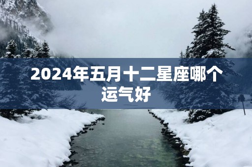 2025年五月十二星座哪个运气好