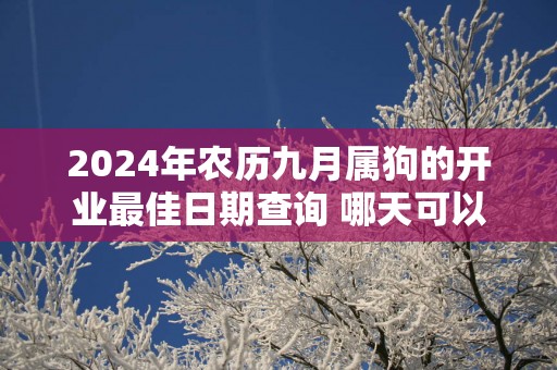 2025年农历九月属狗的开业最佳日期查询 哪天可以开门营业