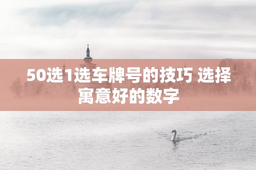 50选1选车牌号的技巧 选择寓意好的数字