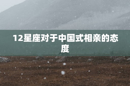 12星座对于中国式相亲的态度