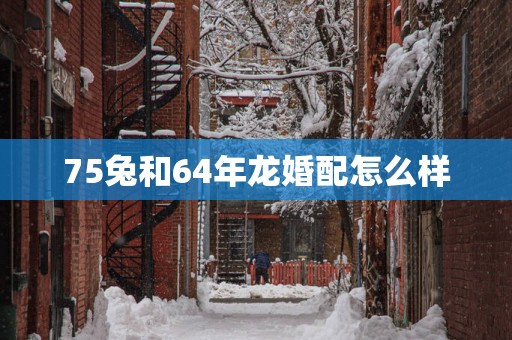 75兔和64年龙婚配怎么样