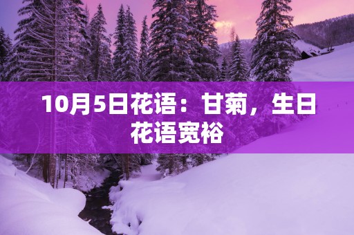 10月5日花语：甘菊，生日花语宽裕