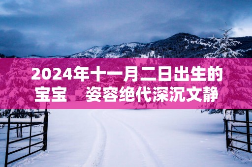 2025年十一月二日出生的宝宝    姿容绝代深沉文静