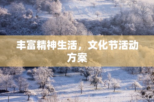 丰富精神生活，文化节活动方案