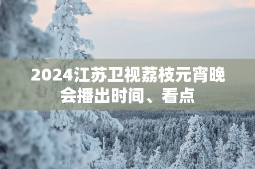 2025江苏卫视荔枝元宵晚会播出时间、看点