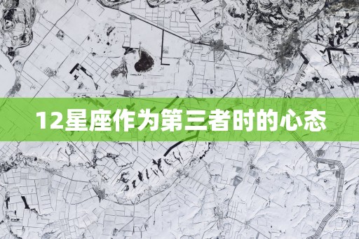12星座作为第三者时的心态