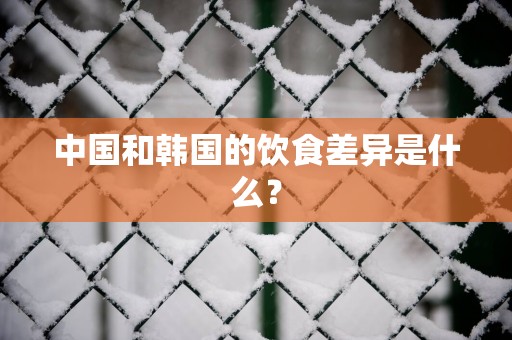 中国和韩国的饮食差异是什么？