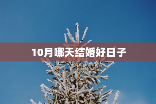 10月哪天结婚好日子