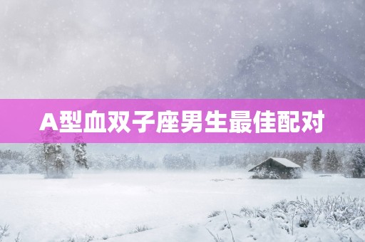 A型血双子座男生最佳配对