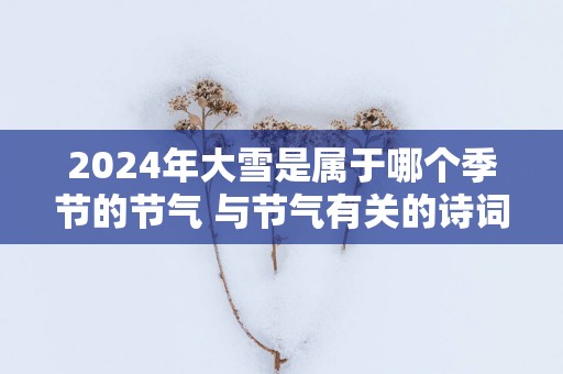2025年大雪是属于哪个季节的节气 与节气有关的诗词