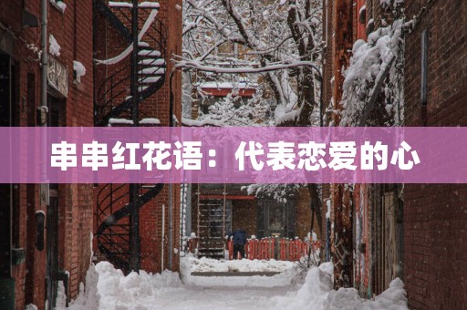串串红花语：代表恋爱的心