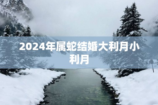 2025年属蛇结婚大利月小利月