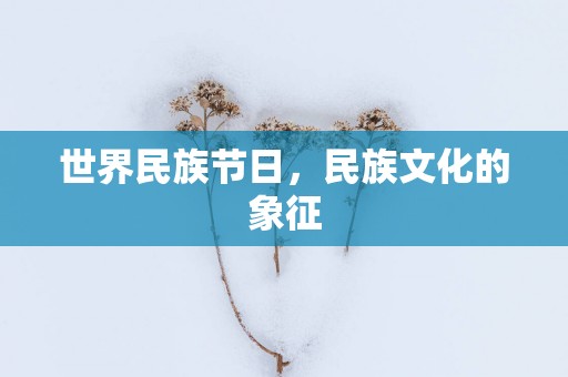 世界民族节日，民族文化的象征