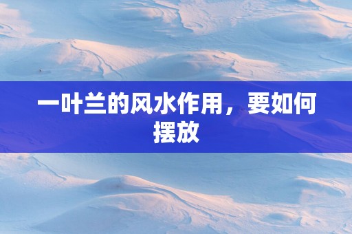 一叶兰的风水作用，要如何摆放