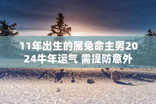 11年出生的属兔命主男2025蛇年运气 需提防意外