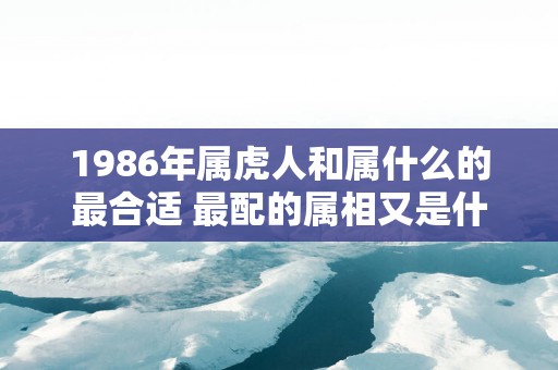 1986年属虎人和属什么的最合适 最配的属相又是什么