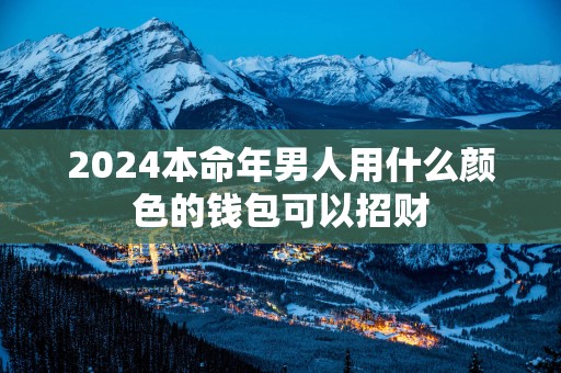 2025本命年男人用什么颜色的钱包可以招财