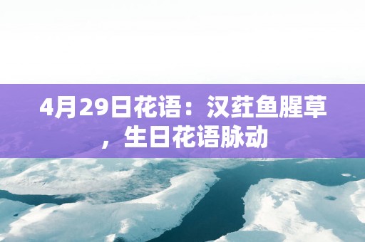 4月29日花语：汉荭鱼腥草，生日花语脉动