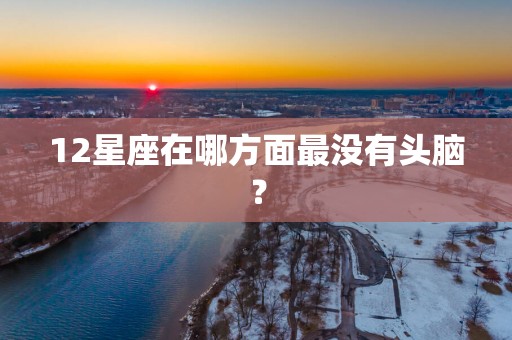 12星座在哪方面最没有头脑？