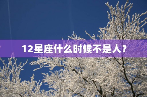 12星座什么时候不是人？