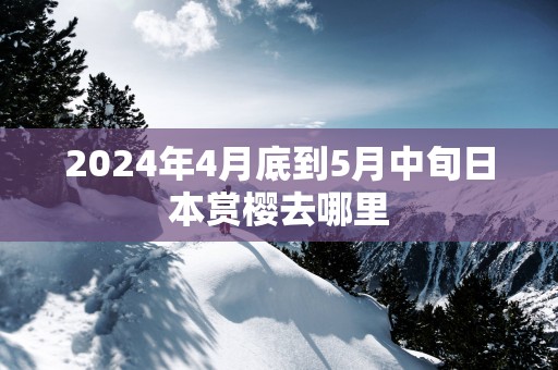 2025年4月底到5月中旬日本赏樱去哪里