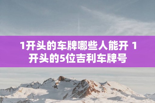 1开头的车牌哪些人能开 1开头的5位吉利车牌号