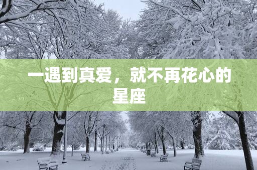 一遇到真爱，就不再花心的星座
