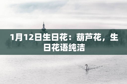 1月12日生日花：葫芦花，生日花语纯洁