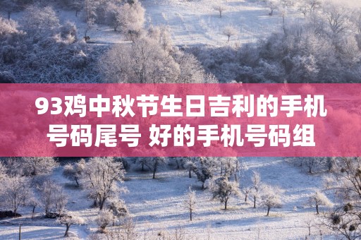 93鸡中秋节生日吉利的手机号码尾号 好的手机号码组合