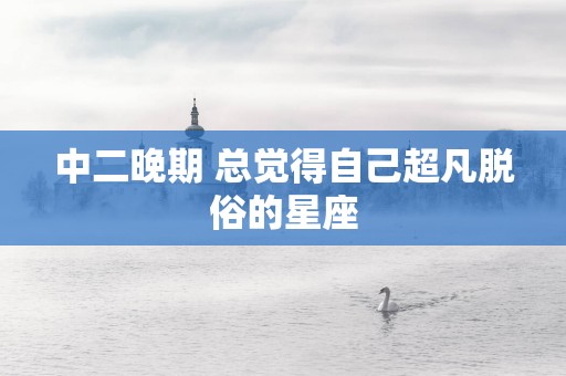 中二晚期 总觉得自己超凡脱俗的星座