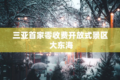 三亚首家零收费开放式景区 大东海