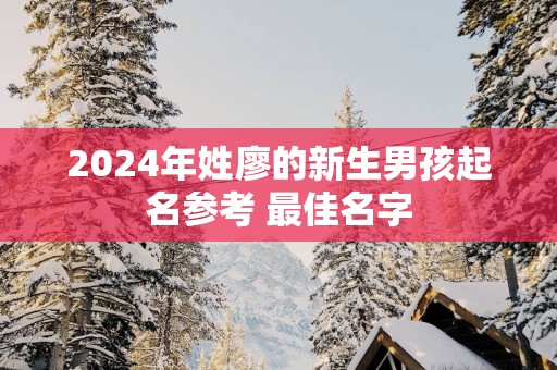2025年姓廖的新生男孩起名参考 最佳名字