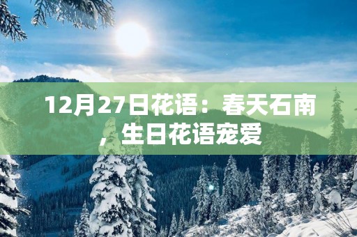 12月27日花语：春天石南，生日花语宠爱