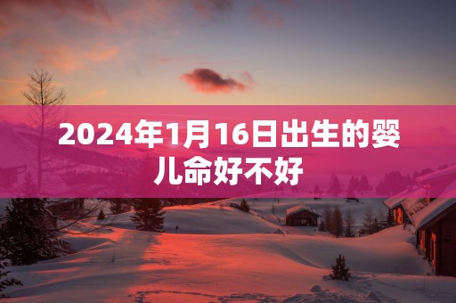 2025年1月16日出生的婴儿命好不好