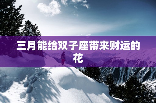 三月能给双子座带来财运的花