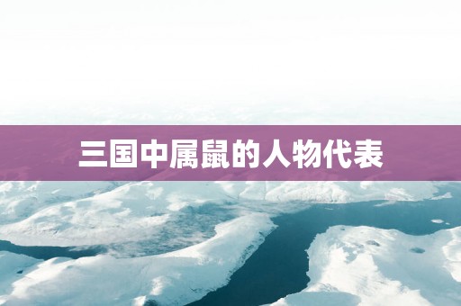 三国中属鼠的人物代表